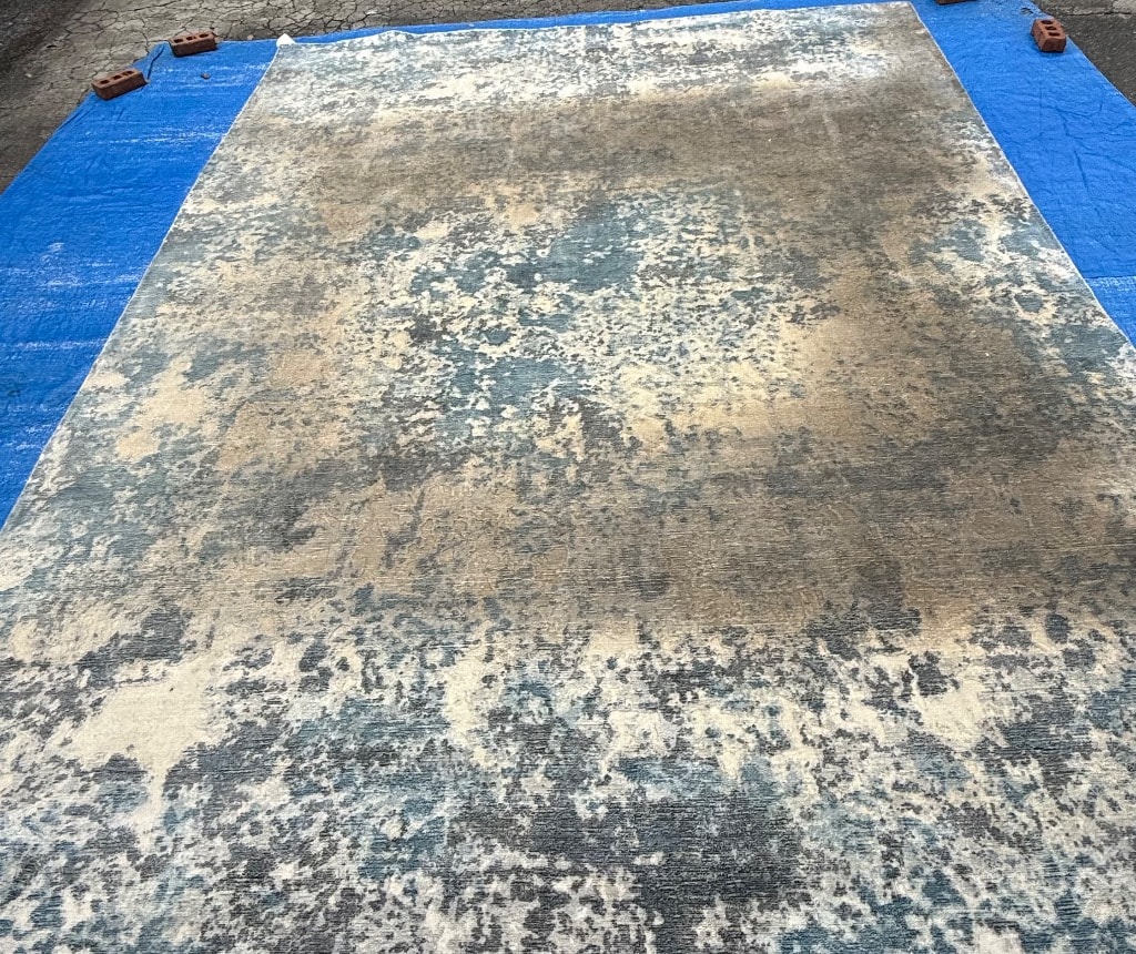 Before — Modern Area Rug — Deep Cleaning